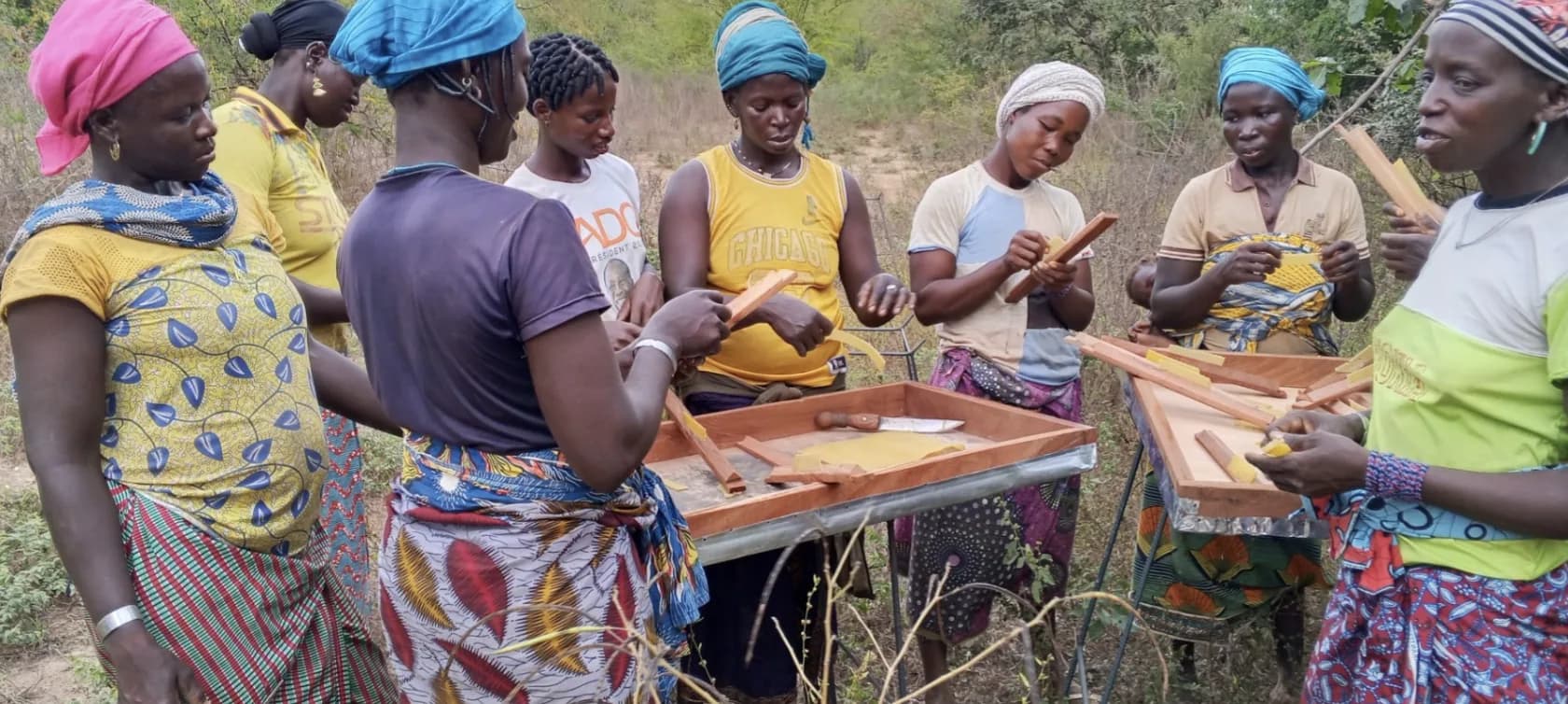Femmes travaillant des cadres de cire d'abeille