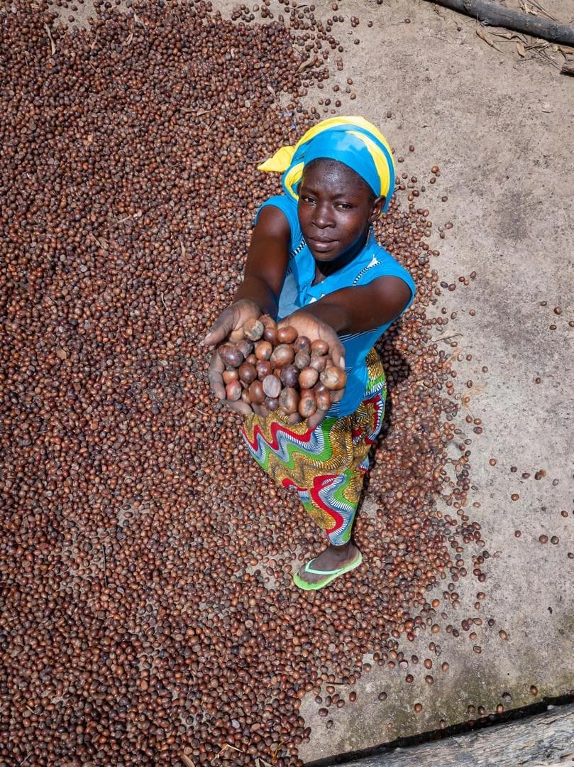 Productrice de karité souriante présentant des amandes fraîchement triées, vue de haut