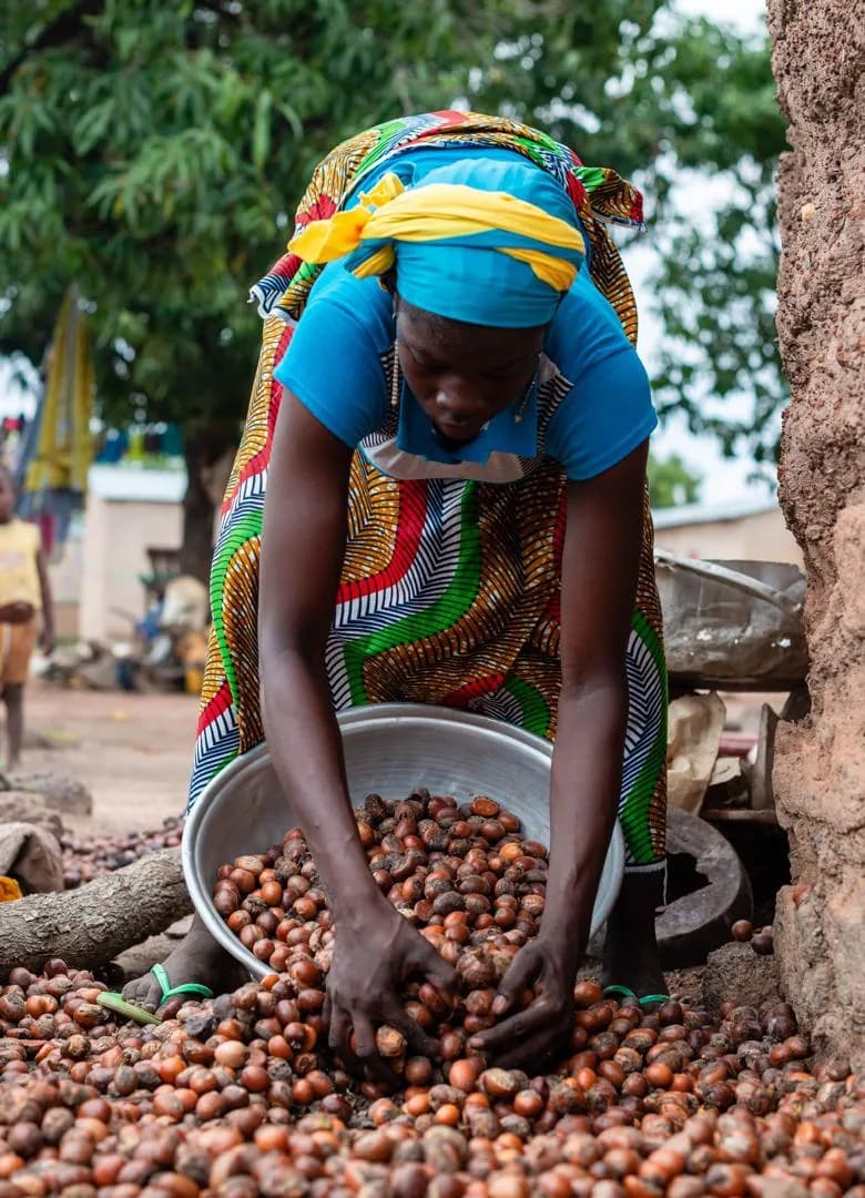 Productrice triant des amandes de karité dans une bassine